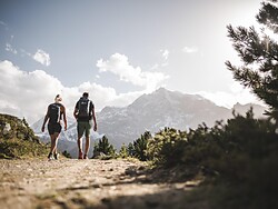 Fascination Mountain - Guided Adventure Hike in the Stilfserjoch National Park
